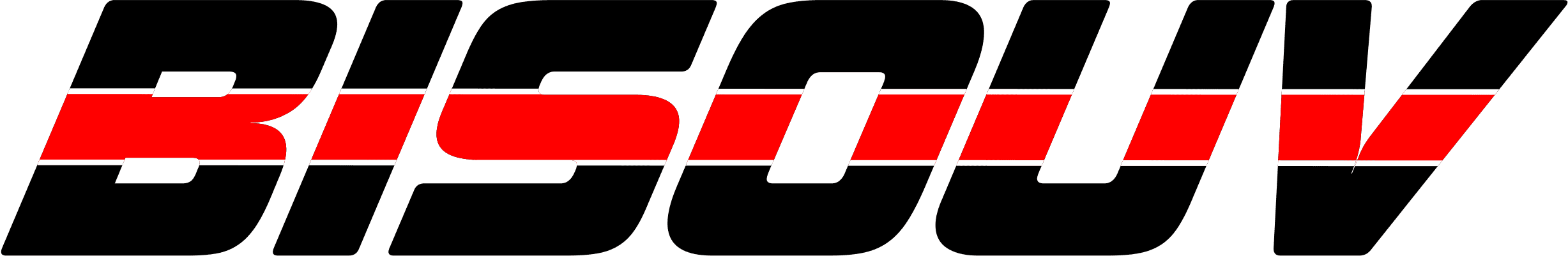 Bisouv